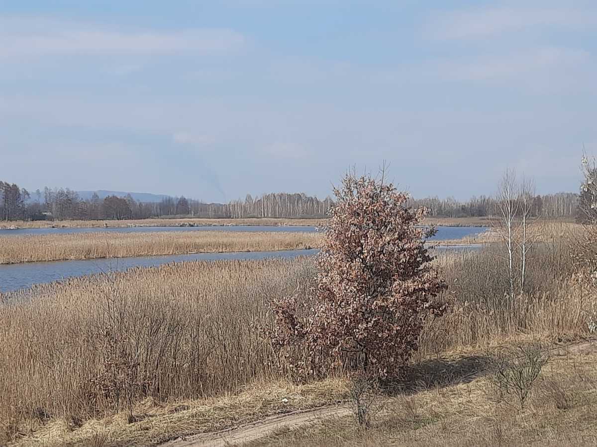 Продажа участка для личного сельского хозяйства 200 соток, Головурівський с/о