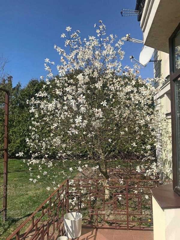 Продажа коттеджа 255 м²