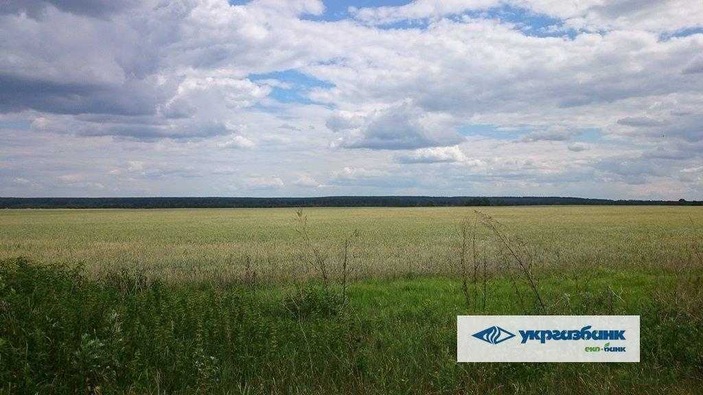 Продажа участка для личного сельского хозяйства 551.47 соток, Нова