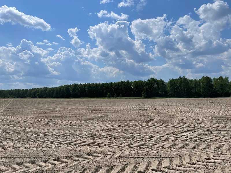 Продажа участка для личного сельского хозяйства 38.71 соток, янівська с/р