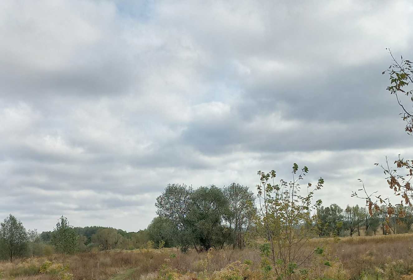 Продаж ділянки під індивідуальне житлове будівництво 10 соток, городня