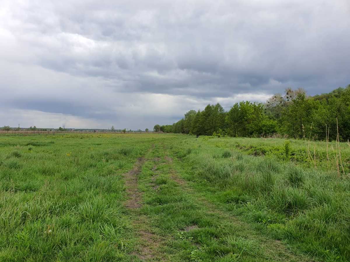 Продаж ділянки під індивідуальне житлове будівництво 10 соток, Подгорная