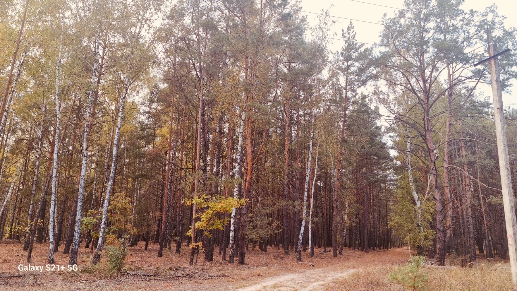 Продажа дачи 60 м²