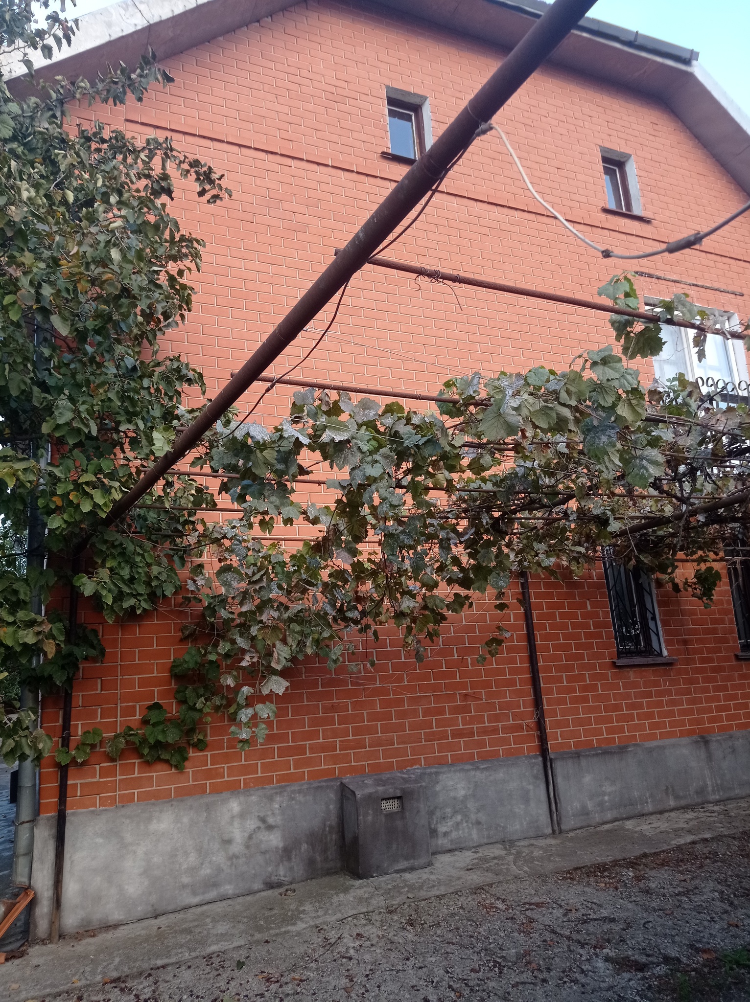 Продажа дома 341 м², Щербакова 8