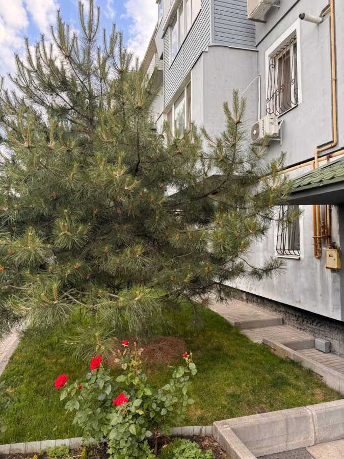 Продажа 2-комнатной квартиры 49 м², Новошкольная ул., 94