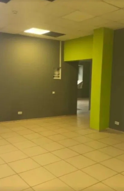 Оренда приміщення вільного призначення 60 м², Ефимова вул.
