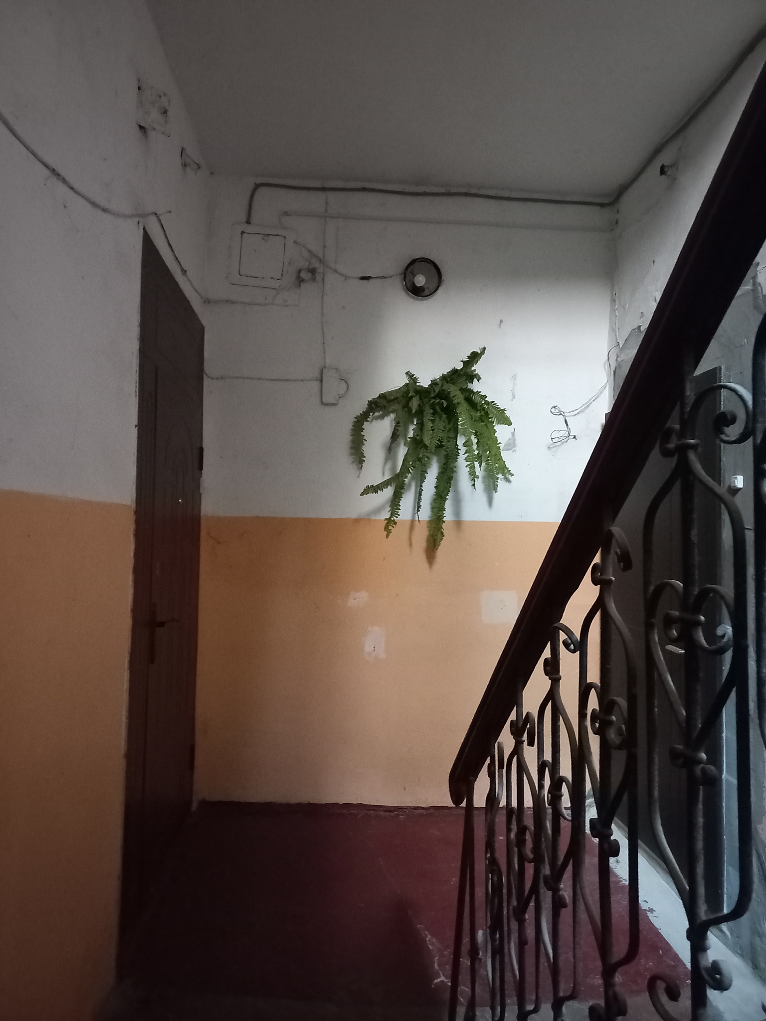 Продажа 1-комнатной квартиры 22 м², Водопроводный 1-й пер., 8