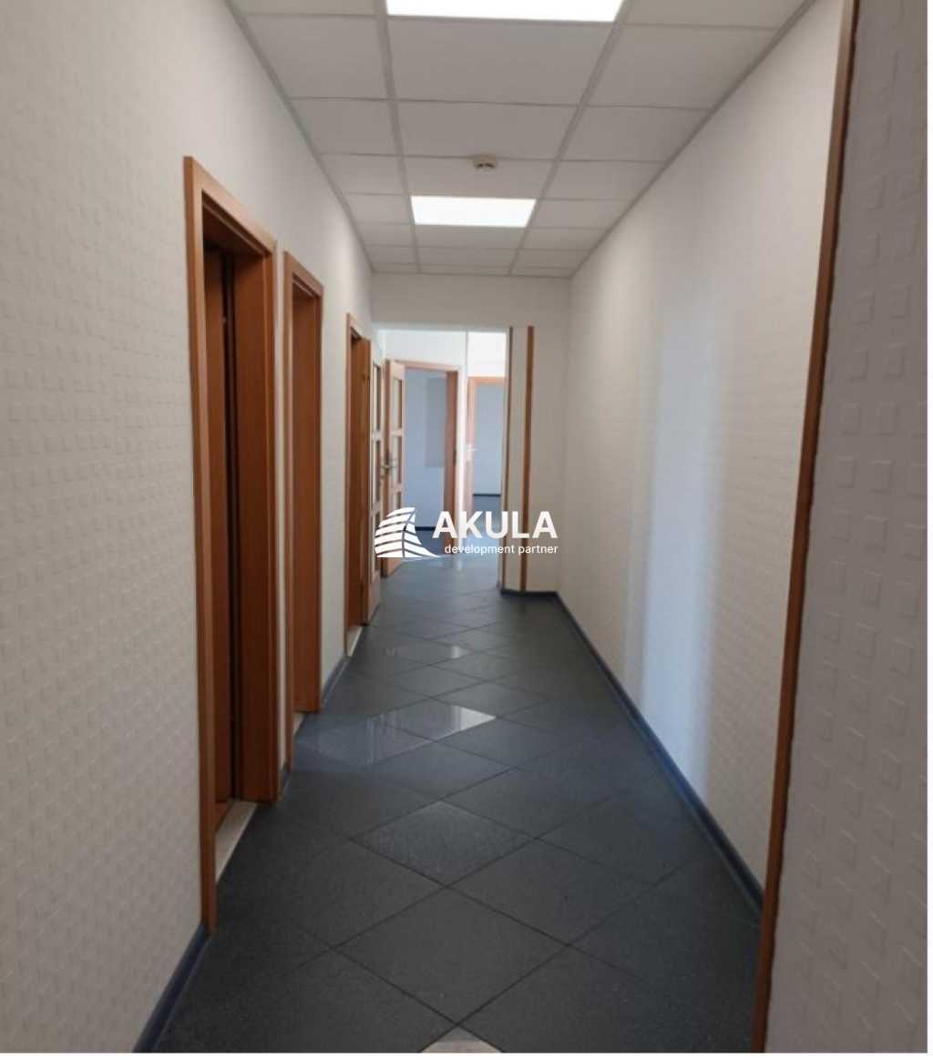 Аренда офиса 270 м², Бехтеревский пер.