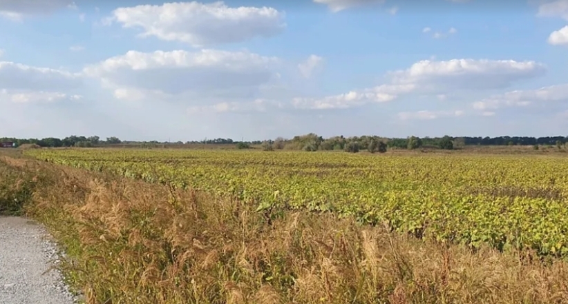 Продажа участка для сельскохозяйственного использования 2 соток, Дніпропетровської області