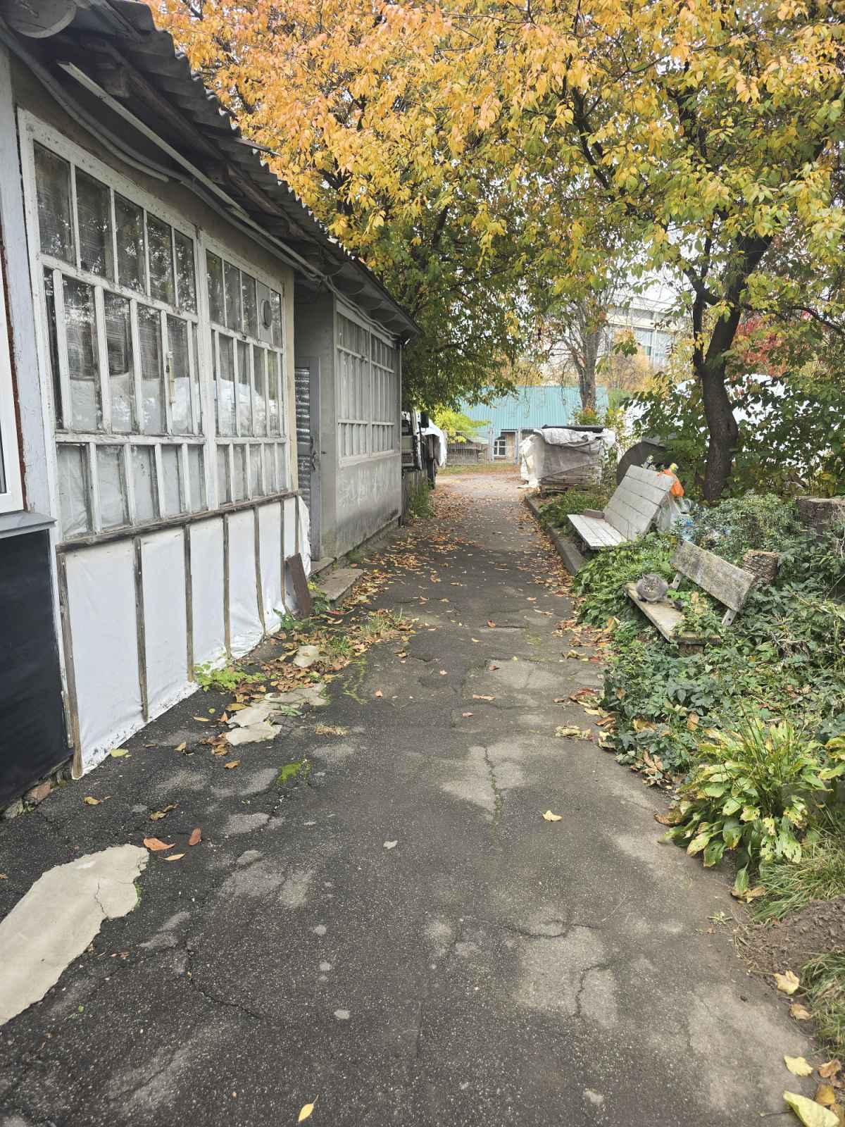 Аренда 1-комнатной квартиры 32 м², Академика Лебедева ул., 34