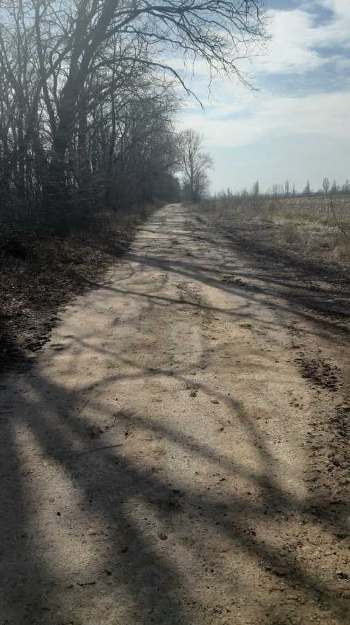 Продаж ділянки для особистого сільського господарства 200 соток, улица Глибоцька с/р