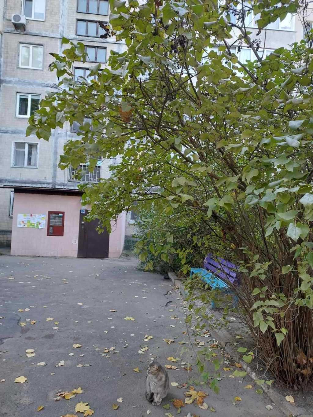 Продажа 2-комнатной квартиры 48.1 м², Владимира Покотило ул., 5А