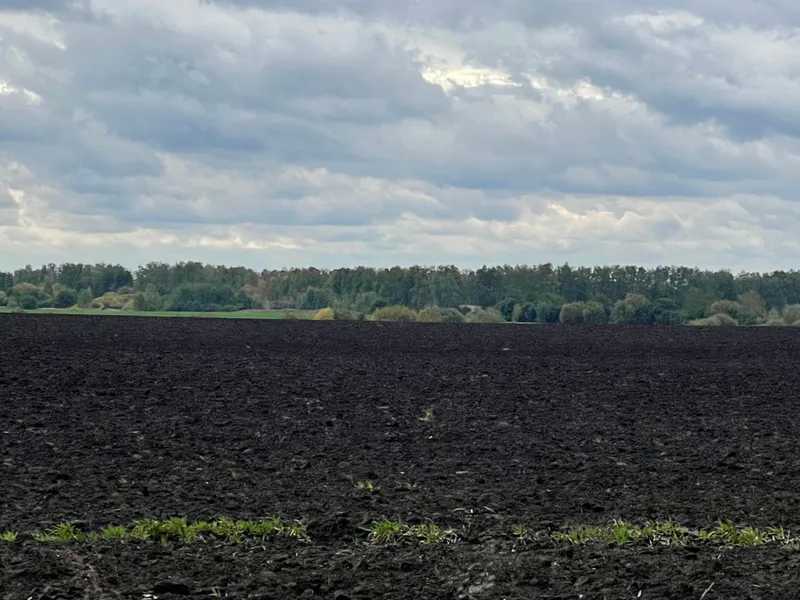 Продаж ділянки для особистого сільського господарства 15 соток, Пісківська с/р