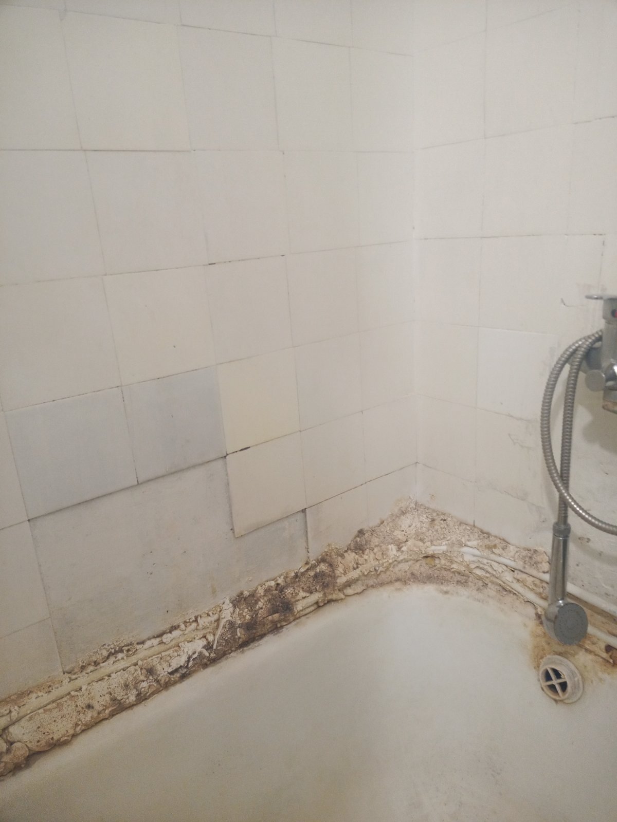 Аренда 2-комнатной квартиры 63 м², Рылеева ул., 7/11