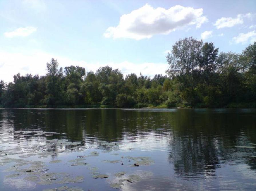 Дача подобово 30 м², Ст Азарт ул.