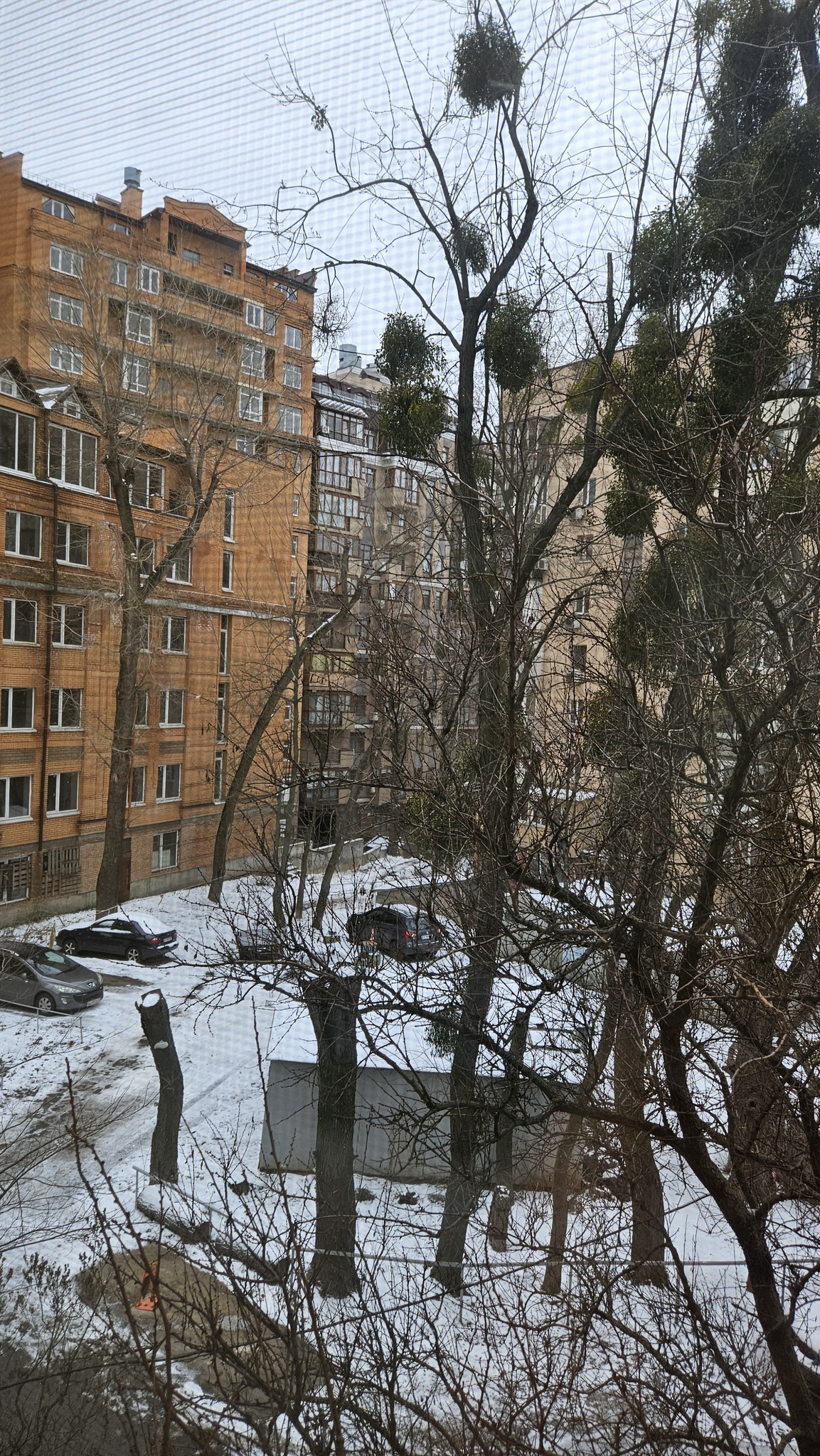 Продажа 3-комнатной квартиры 90 м², Сечевых Стрельцов ул., 59А