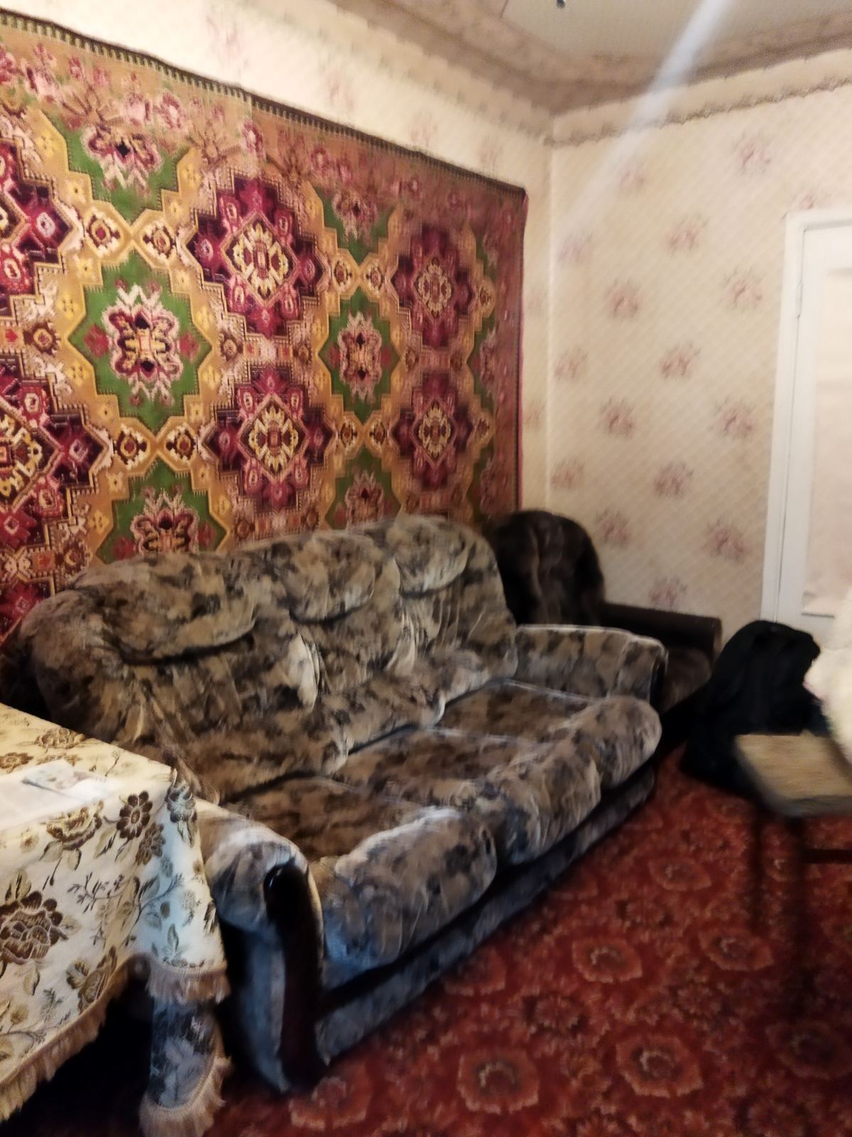 Оренда кімнати/частини квартири, Декабристів вул., 5