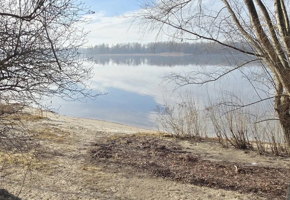 Продажа дома 112.5 м², 95-я Садовая ул.