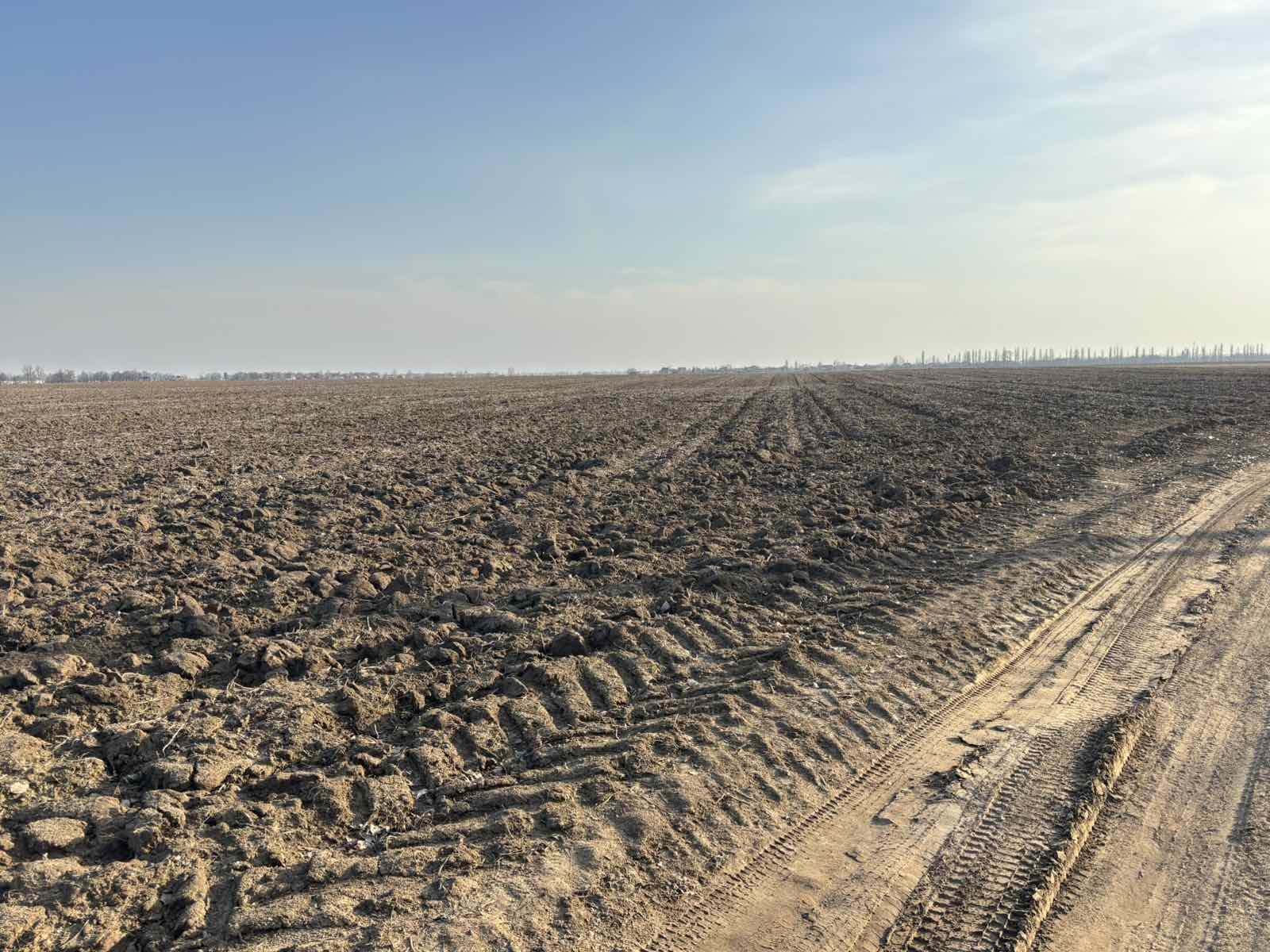 Продаж ділянки під рослинництво 15.21 соток