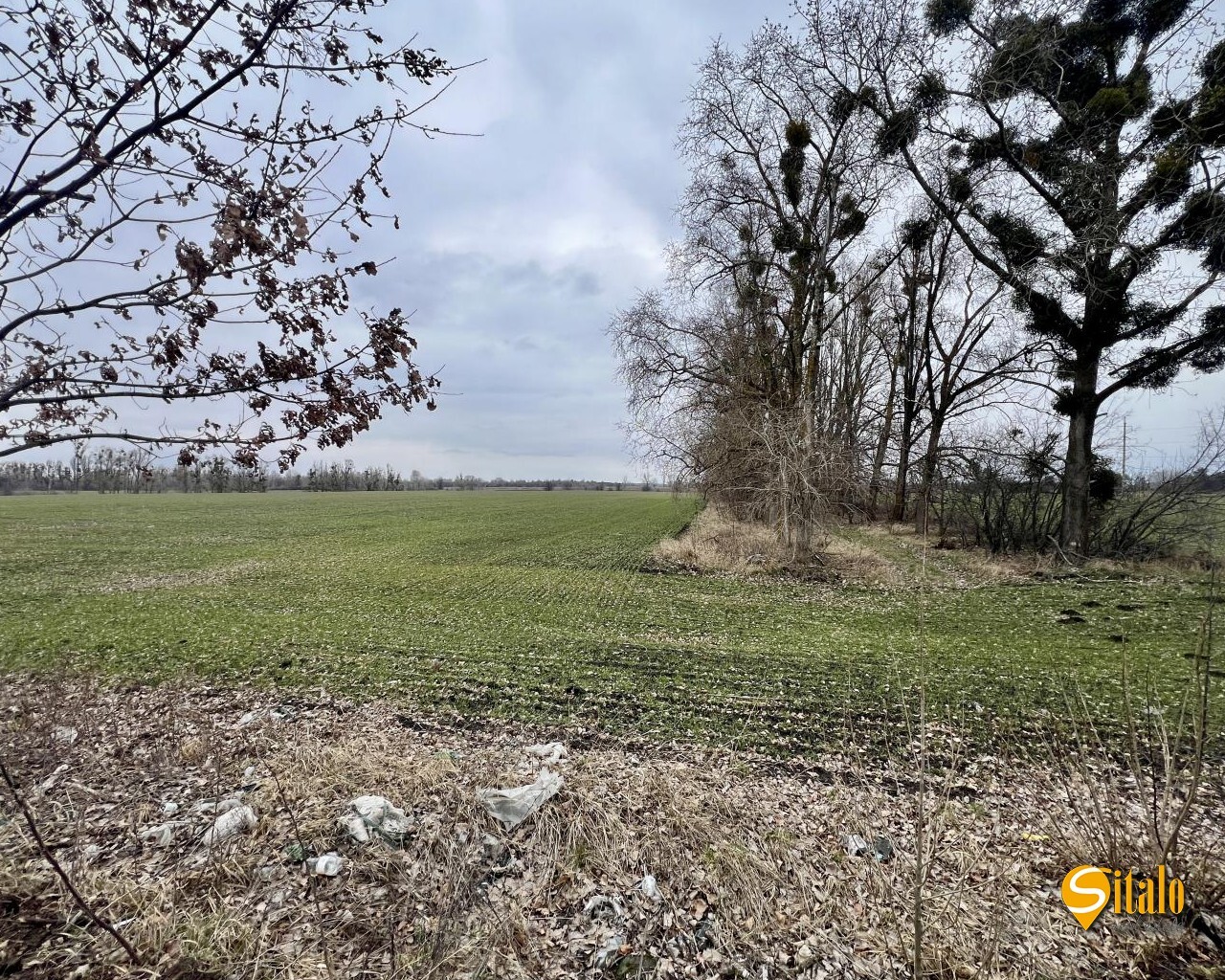 Продаж ділянки під інвестиційний проєкт 358 соток