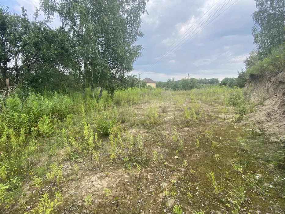 Продаж ділянки під рослинництво 10 соток