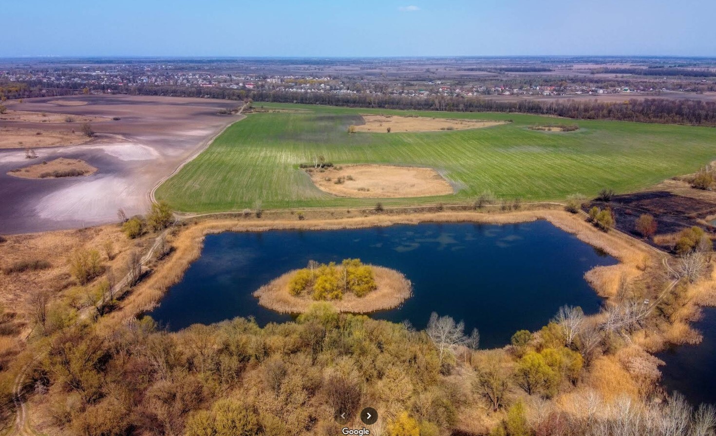 Продаж ділянки під рослинництво 24 соток