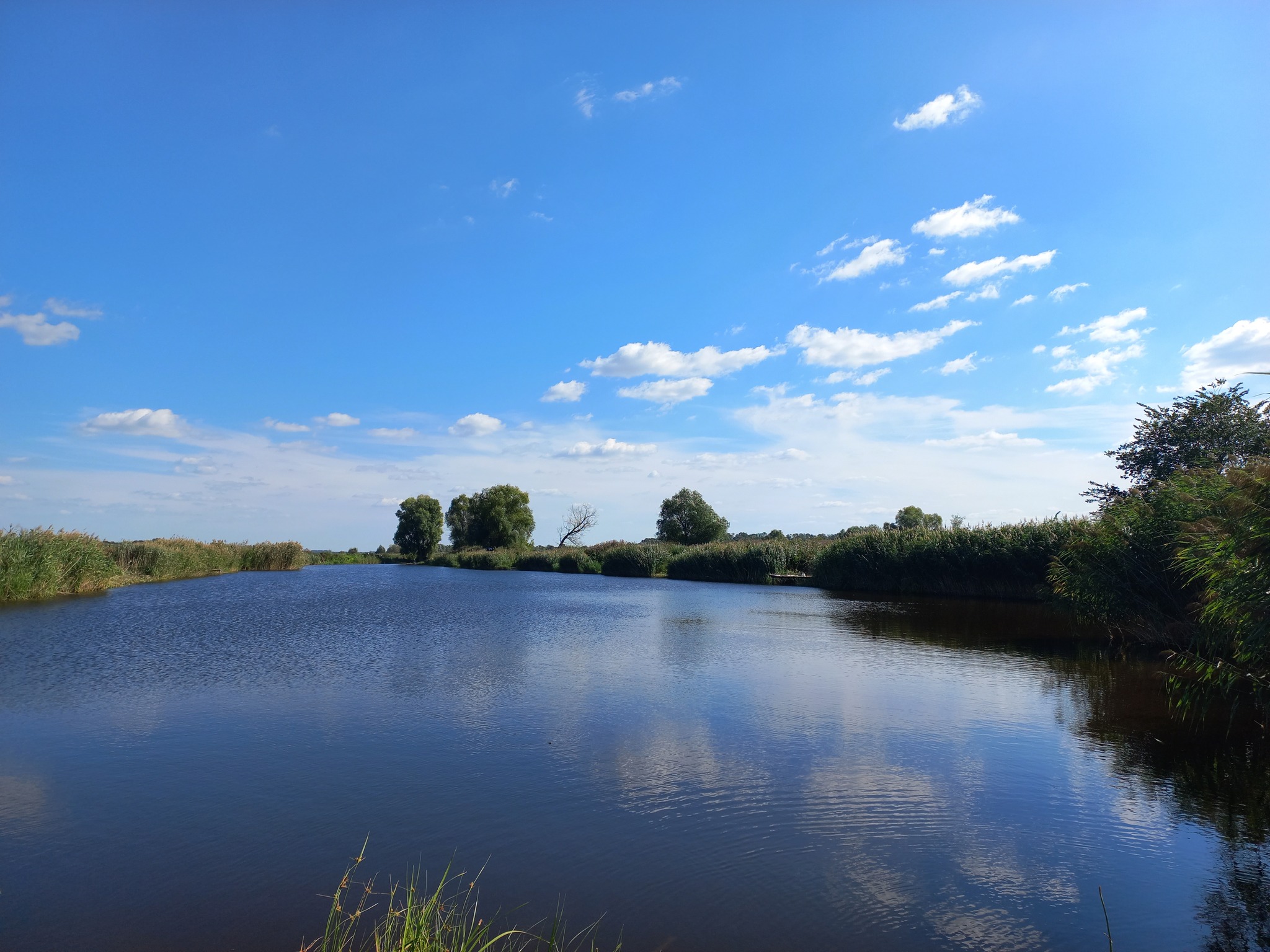 Продажа дома 54 м²