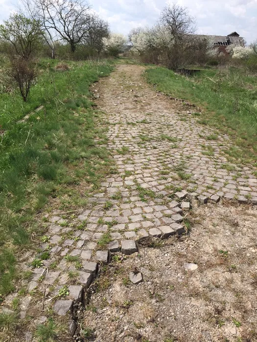 Продаж ділянки для особистого сільського господарства 950 соток