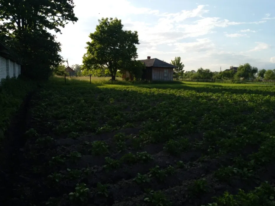 Продаж ділянки під індивідуальне житлове будівництво 30 соток
