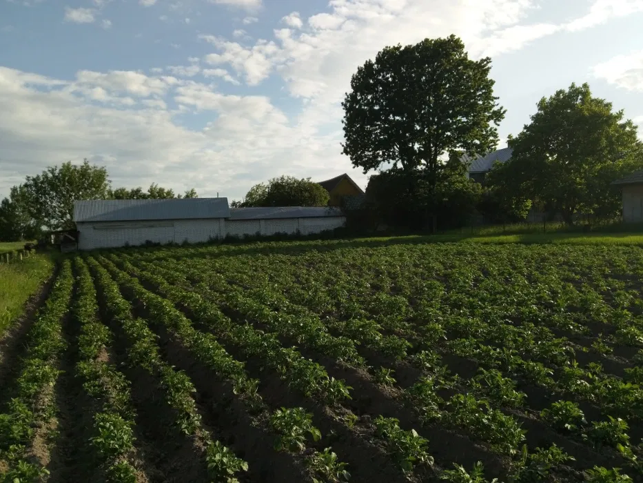 Продаж ділянки під індивідуальне житлове будівництво 30 соток