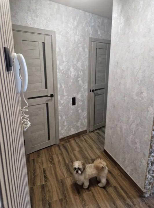 Продажа 1-комнатной квартиры 40 м², Вячеслава Черновола ул.