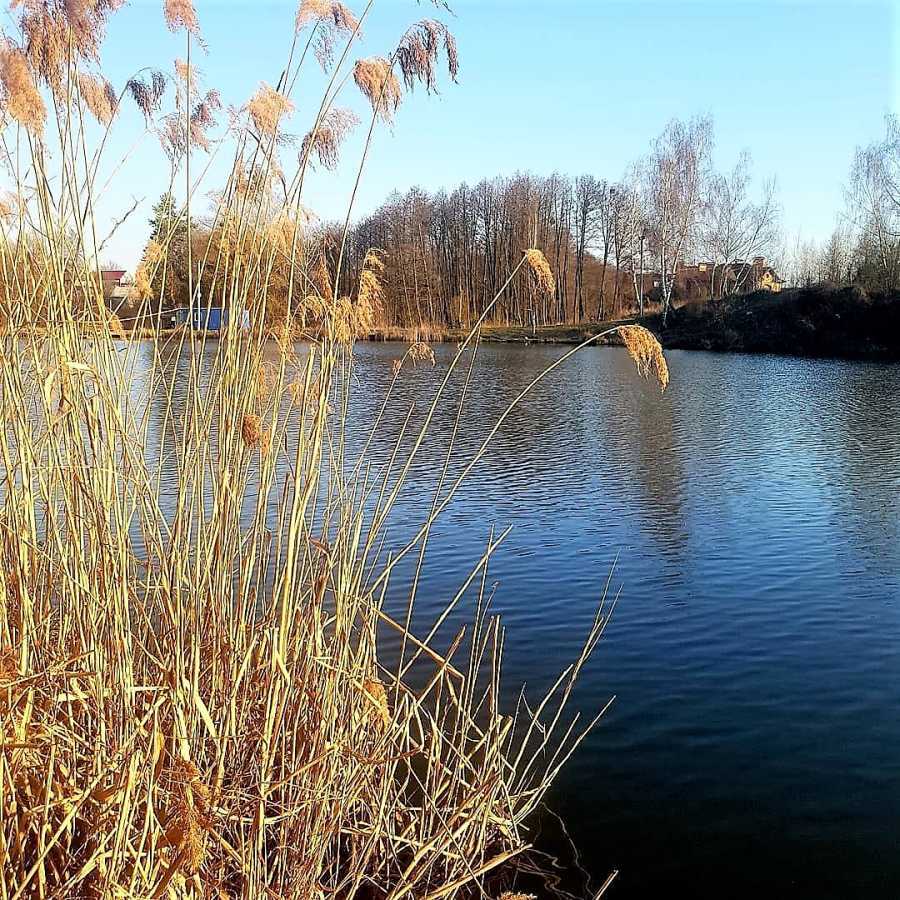 Оренда будинку 165 м², Ожинова, 69