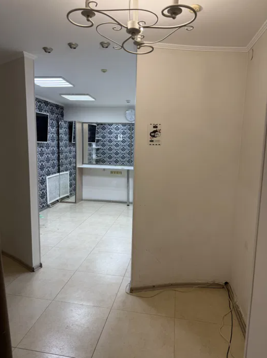 Оренда приміщення вільного призначення 110 м², Академічна вул.