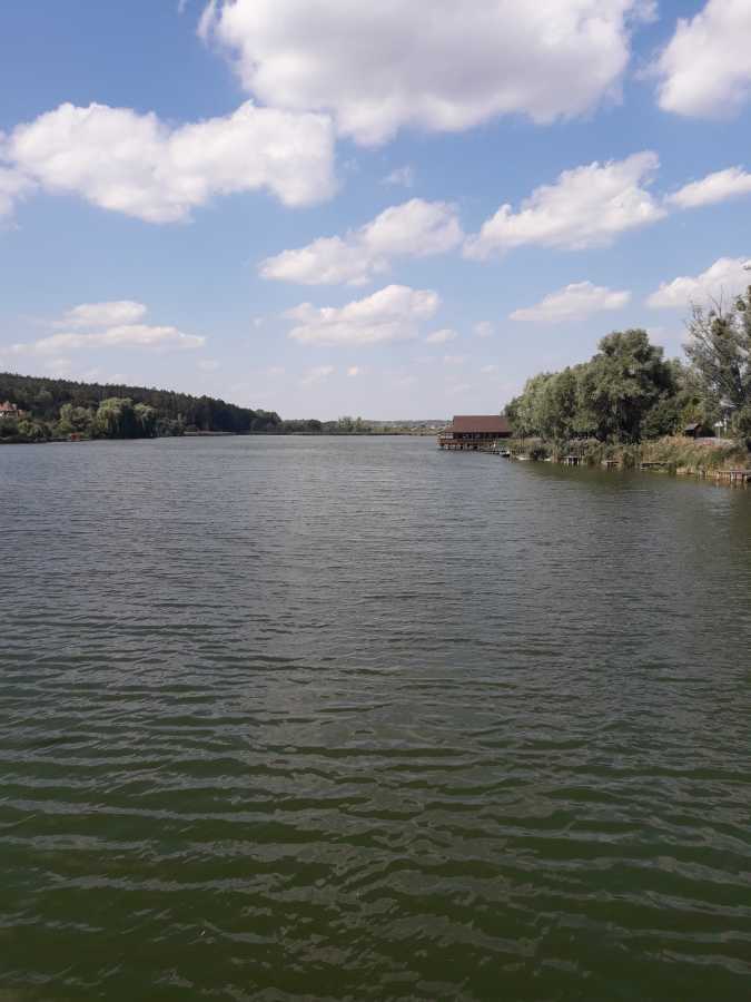 Продаж ділянки під індивідуальне житлове будівництво 85 соток, Шевченко вул.