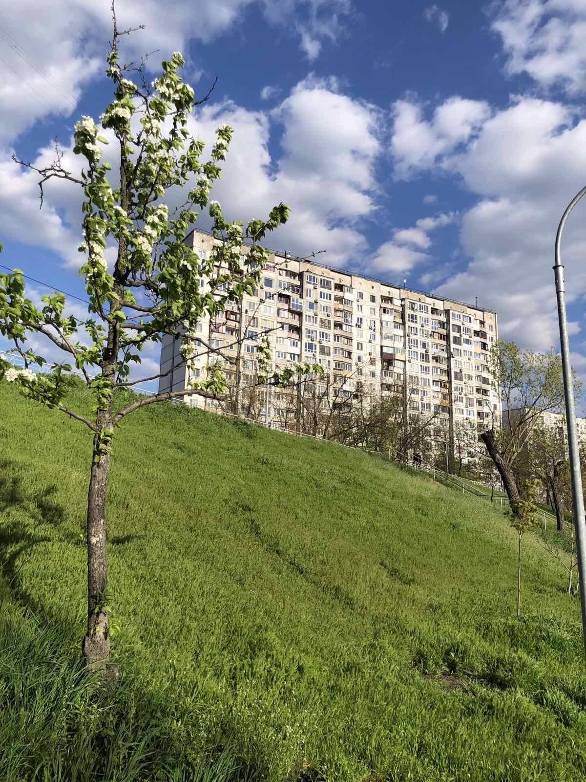 Продажа 3-комнатной квартиры 63 м², Павла Тычины просп., 11