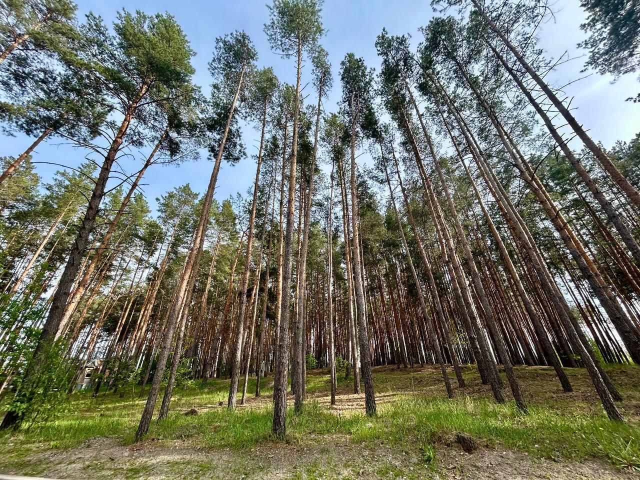 Продажа дома 267 м²