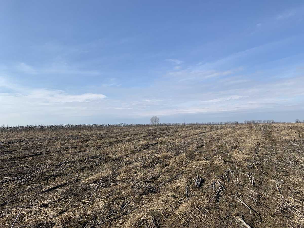 Продаж ділянки для особистого сільського господарства 200 соток, Глибоцька с/р