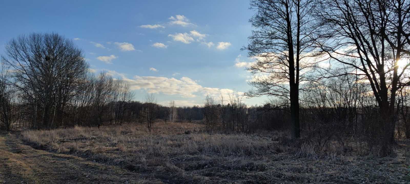 Продаж ділянки для особистого сільського господарства 99 соток, Сошниківська с/р
