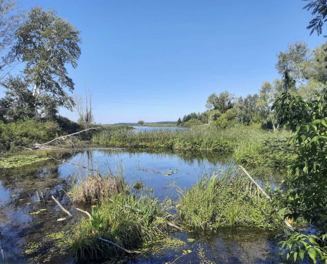 Продаж ділянки для особистого сільського господарства 156 соток