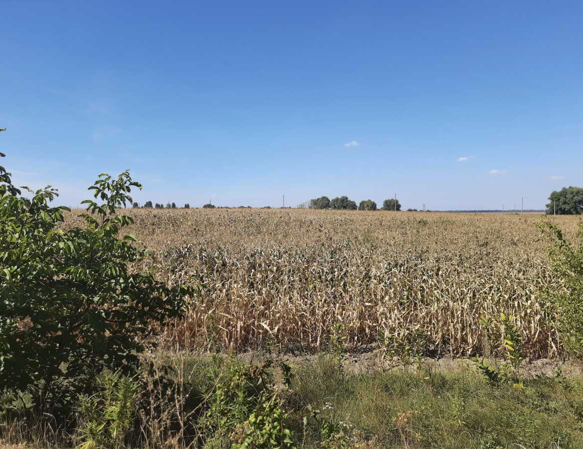 Продаж ділянки для особистого сільського господарства 10 соток