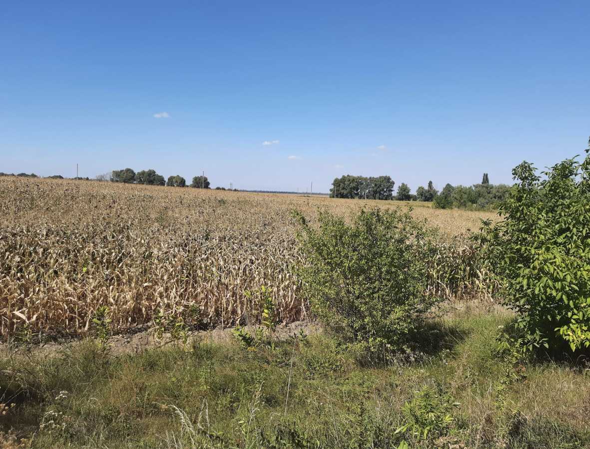 Продаж ділянки для особистого сільського господарства 10 соток