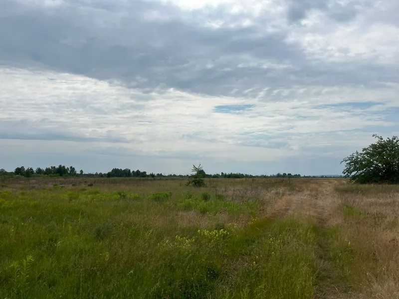 Продаж ділянки для особистого сільського господарства 55 соток