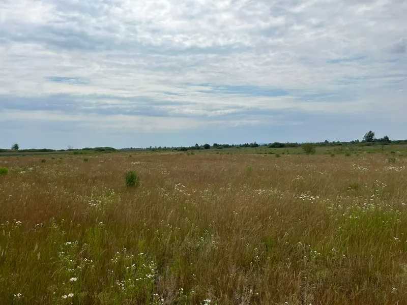 Продаж ділянки для особистого сільського господарства 55 соток