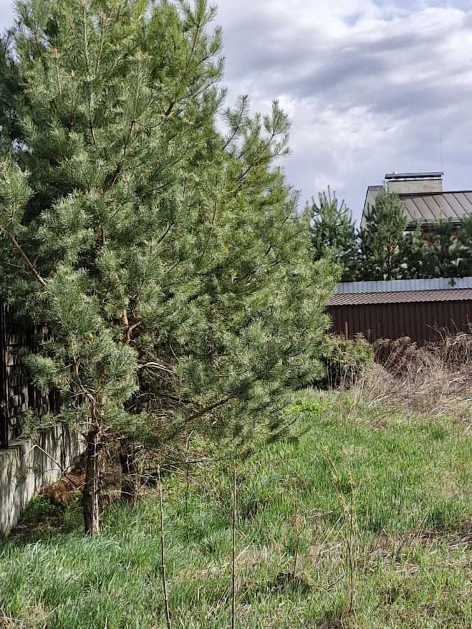 Продажа участка под индивидуальное жилое строительство 24 соток, Лісова