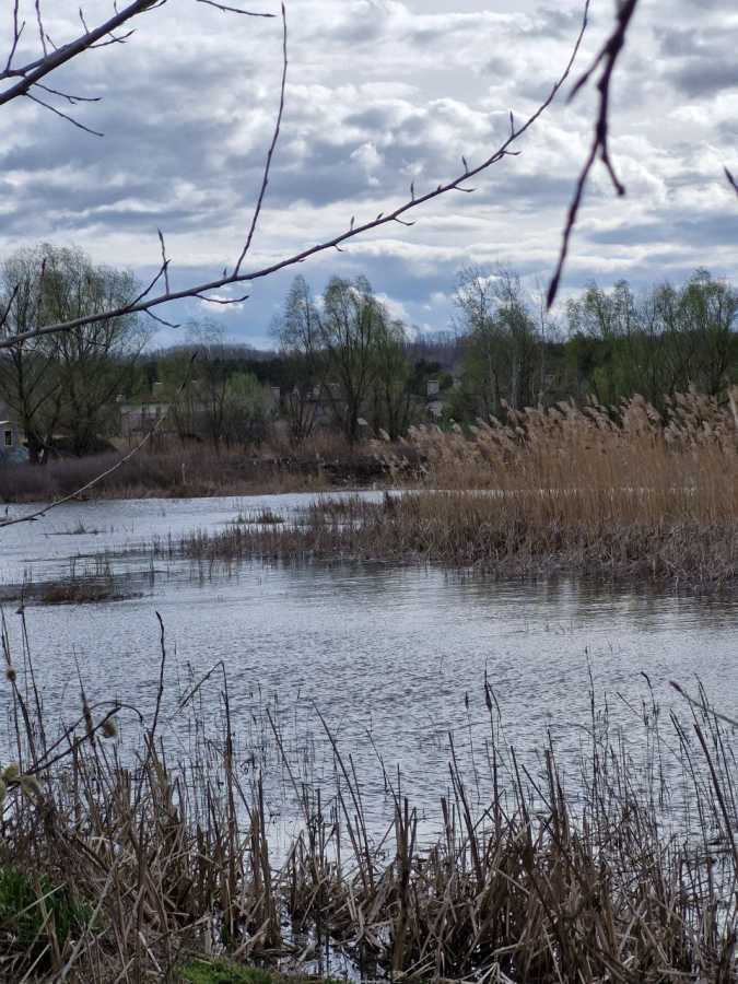 Продажа участка под индивидуальное жилое строительство 24 соток, Лісова