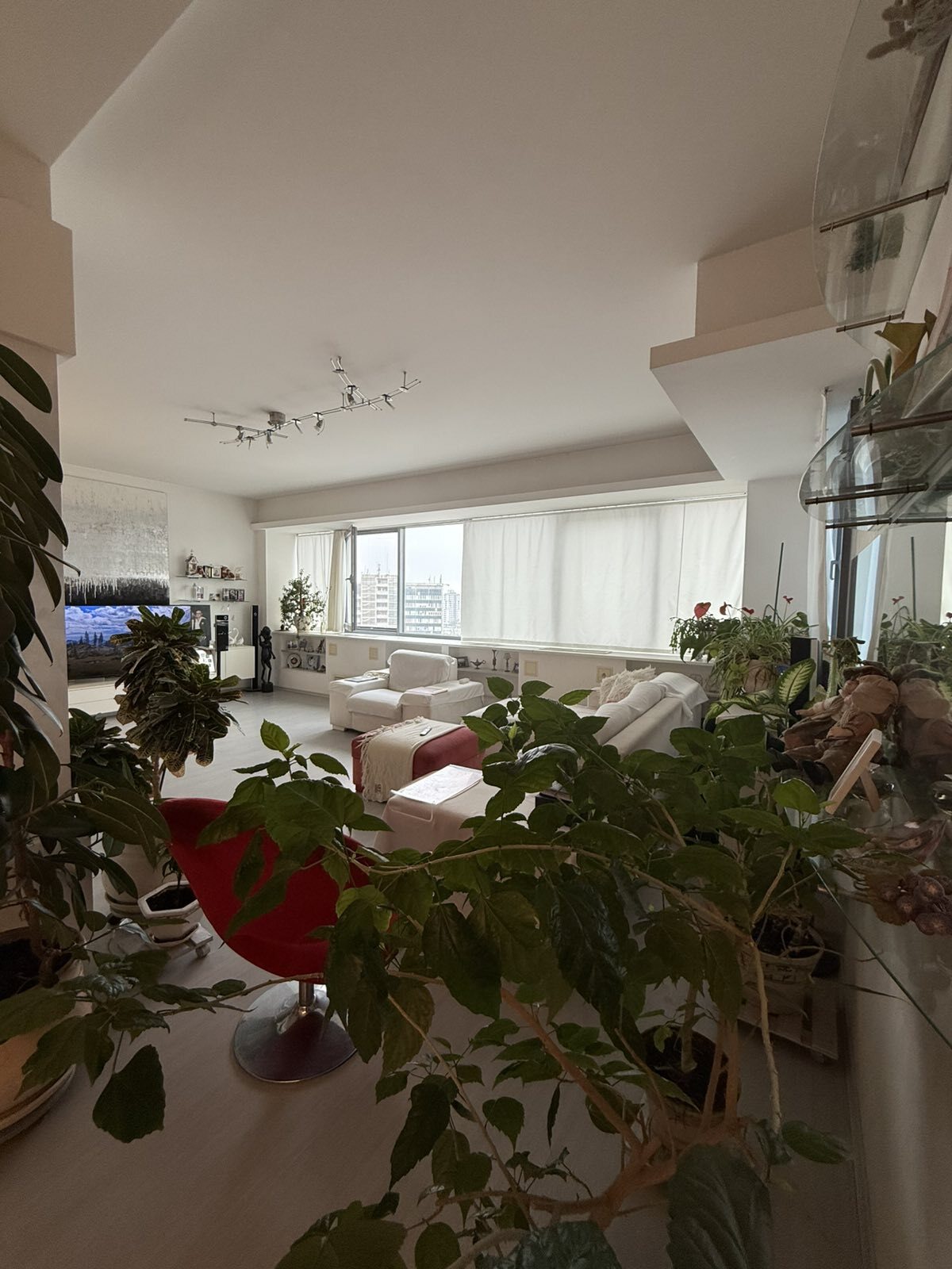Продаж 2-кімнатної квартири 145 м²