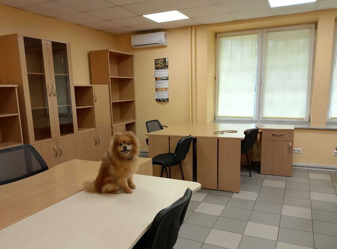 Аренда офиса 38 м², Маршала Тимошенко ул., 29В