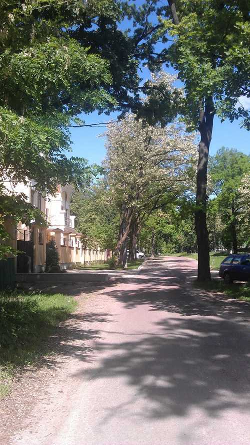 Продаж ділянки під індивідуальне житлове будівництво 40 соток, Миколи Юнкерова вул.