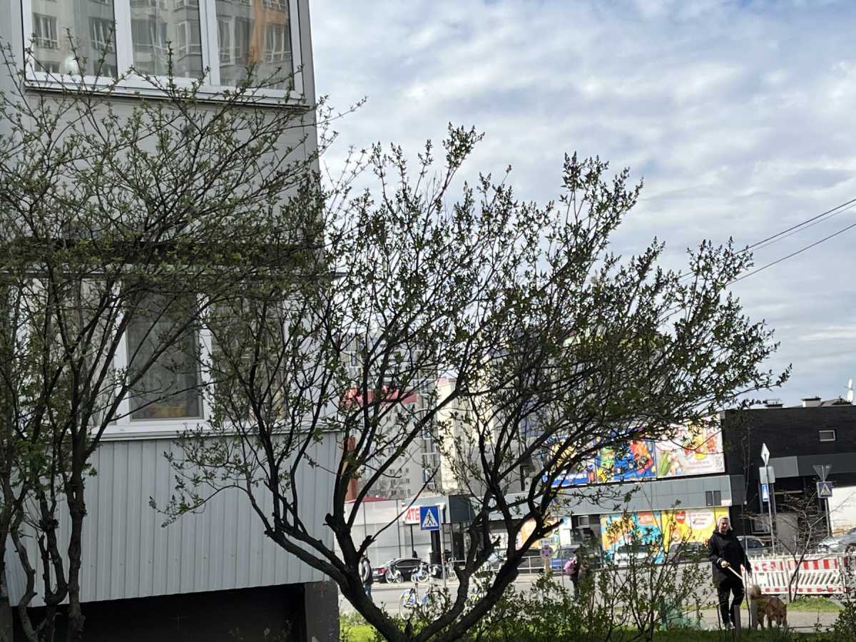 Продажа 3-комнатной квартиры 70 м², Челябинская, 15