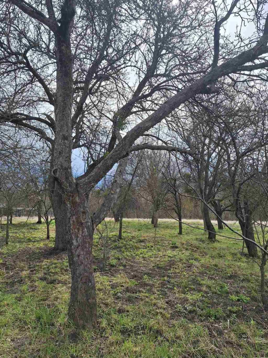 Продаж будинку 40 м², Шевченка, 50